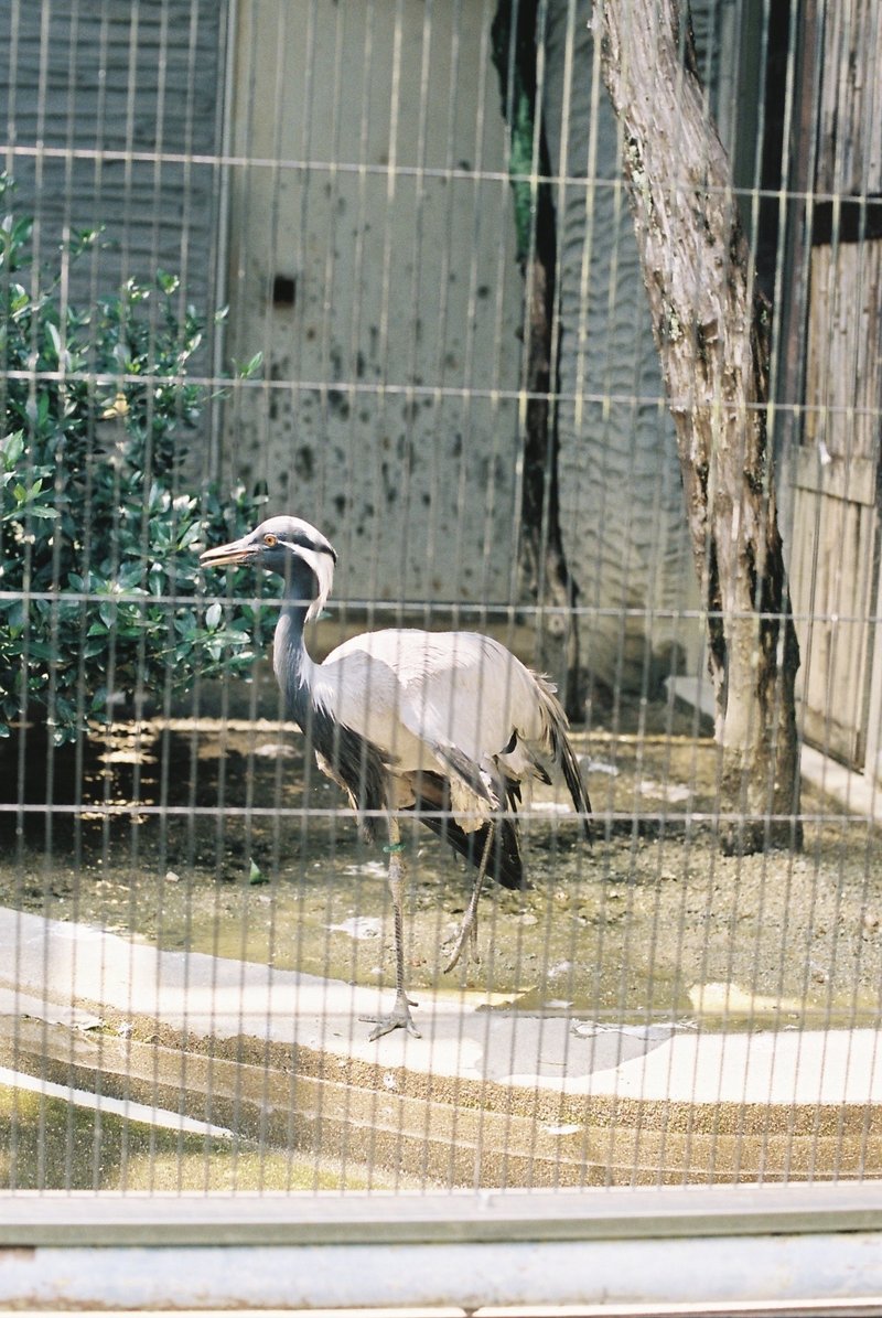 Filmsnagoya 東山フォトウォークに行ってきた 後編 サトウ リョウタ Note Filmsnagoya 東山フォトウォークに行ってきた 後編 サトウ リョウタ Note