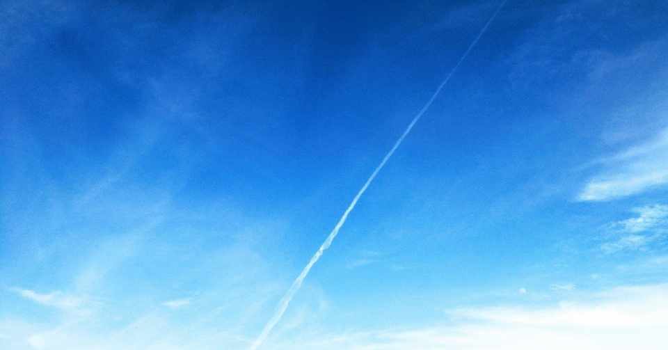 梯子をのぼるように成長なんてしない 吉田恵理 編集者 Note