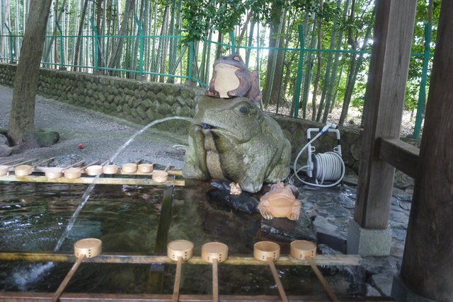 椿大神社の手水舎。カエルです。
