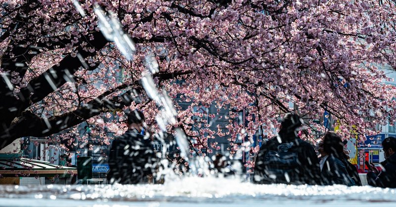 「早咲きの桜に集う人々～上野広小路の大寒桜」