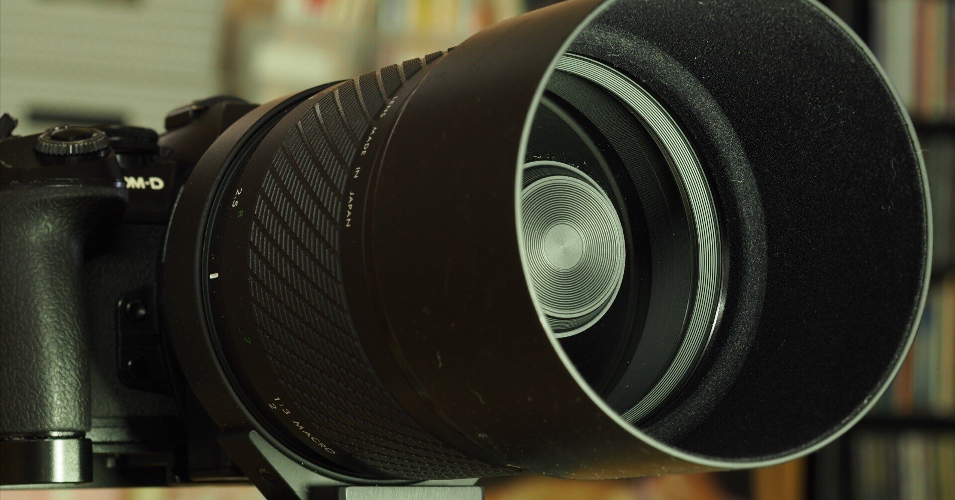 レンズ沼あれこれ:SIGMA MIRROR-TELEPHOTO 600mm F8|ひっくすK レンズ沼あれこれ:SIGMA MIRROR-TELEPHOTO 600mm F8|ひっくすK