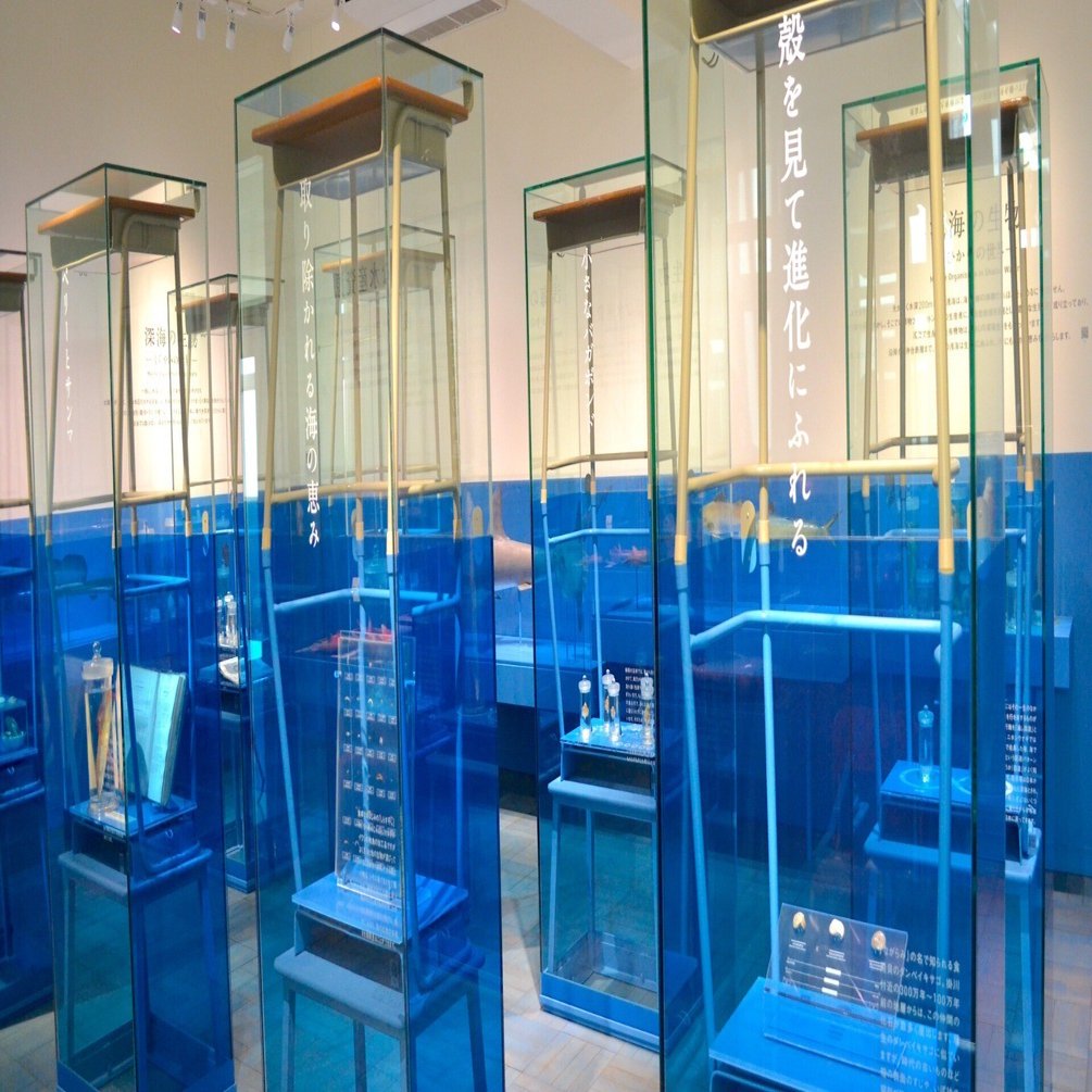 ハチの巣標本 ガラスケース入り