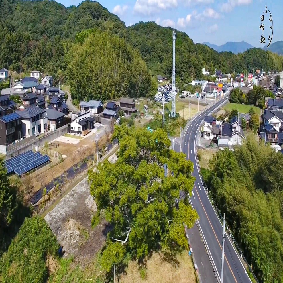 5mで切る必要はない。巨木の景観を活かした「大きな木のある公民館」を