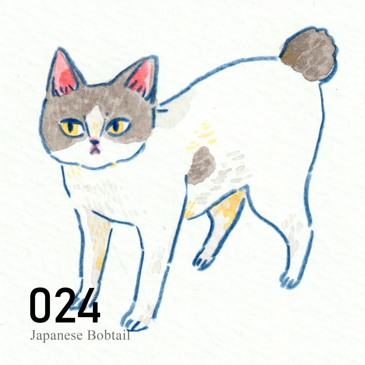 No 024 ジャパニーズボブテイル Nao Sakamoto S Memo Note