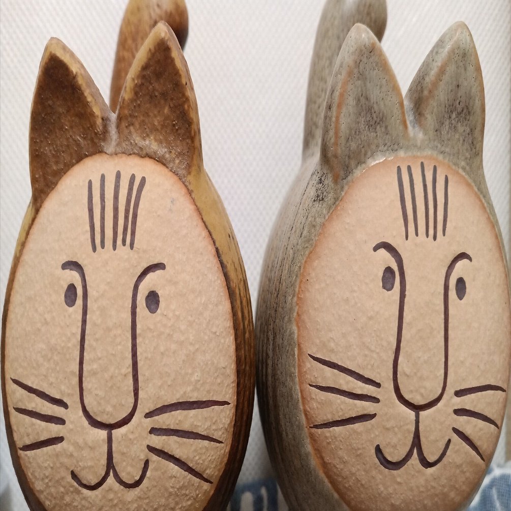 365日癒やされる、「猫口・ω・」なdieci cat🐱。｜something-pudding。