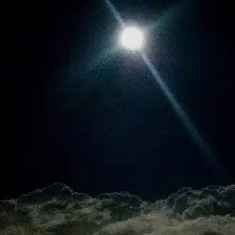 うきあやめ