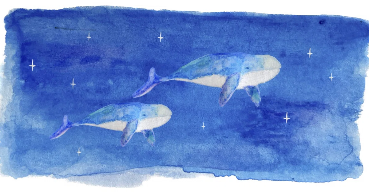 Thoughts on watching the movie '52-Hertz Whales' and other things