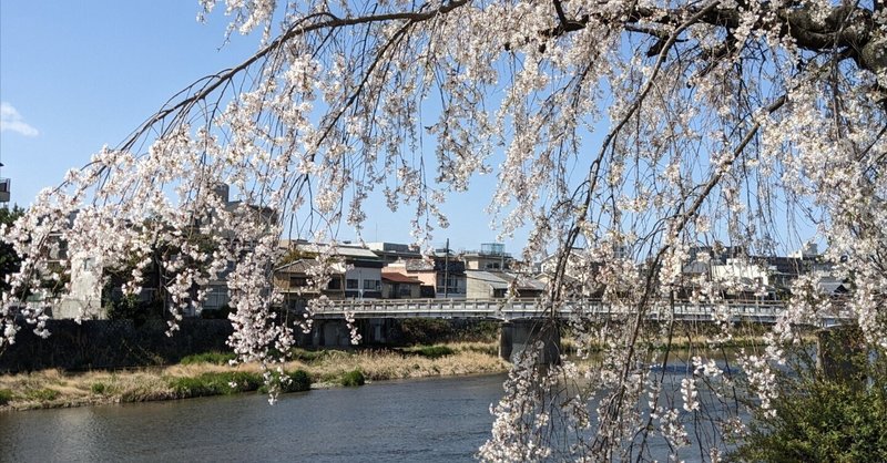 京都の春はもうすぐそこ