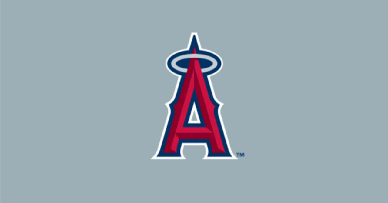 MLB ロサンゼルス アナハイム エンゼルス 旧 ロゴ プリント USA製 V 
