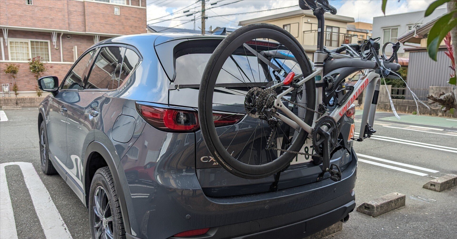 TERZO SARIS サイクルキャリア 背面車載 2台用 TERZO SARIS サイクル