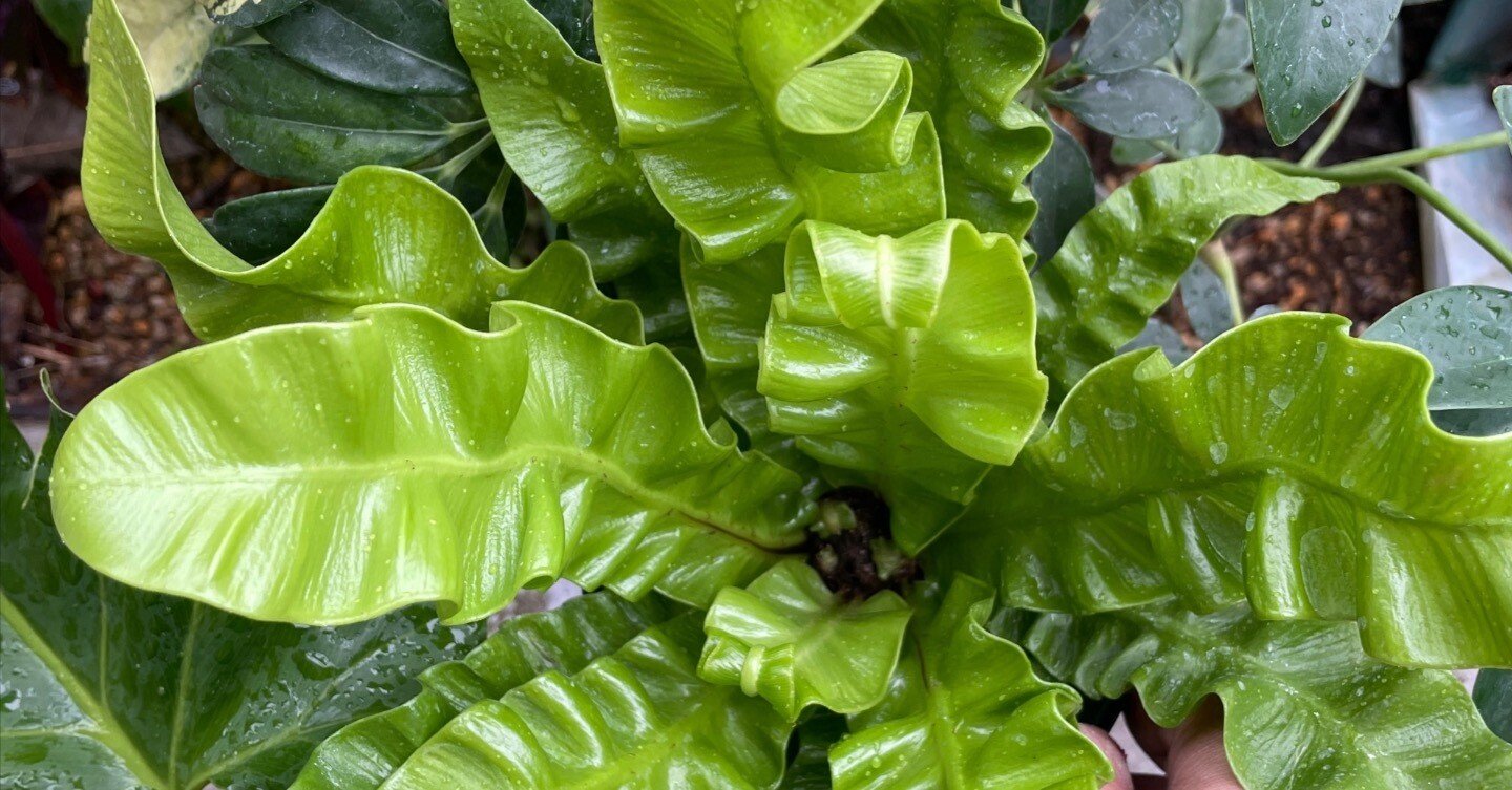 06d38cf4acf8ea6f7c33e3e92815ec