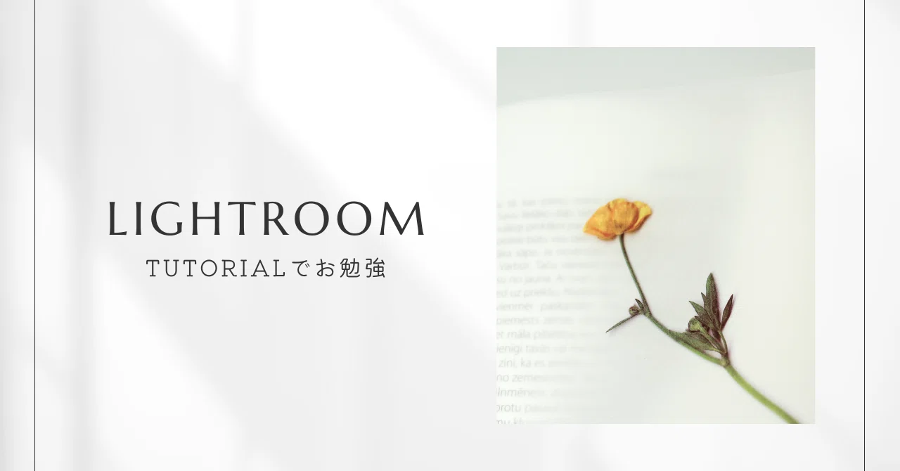 Adobe Lightroomのお勉強2｜mitchy