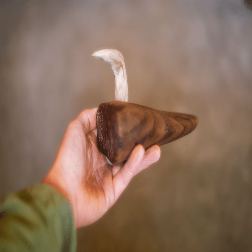 流木の鳥｜kuno_yasuhiro