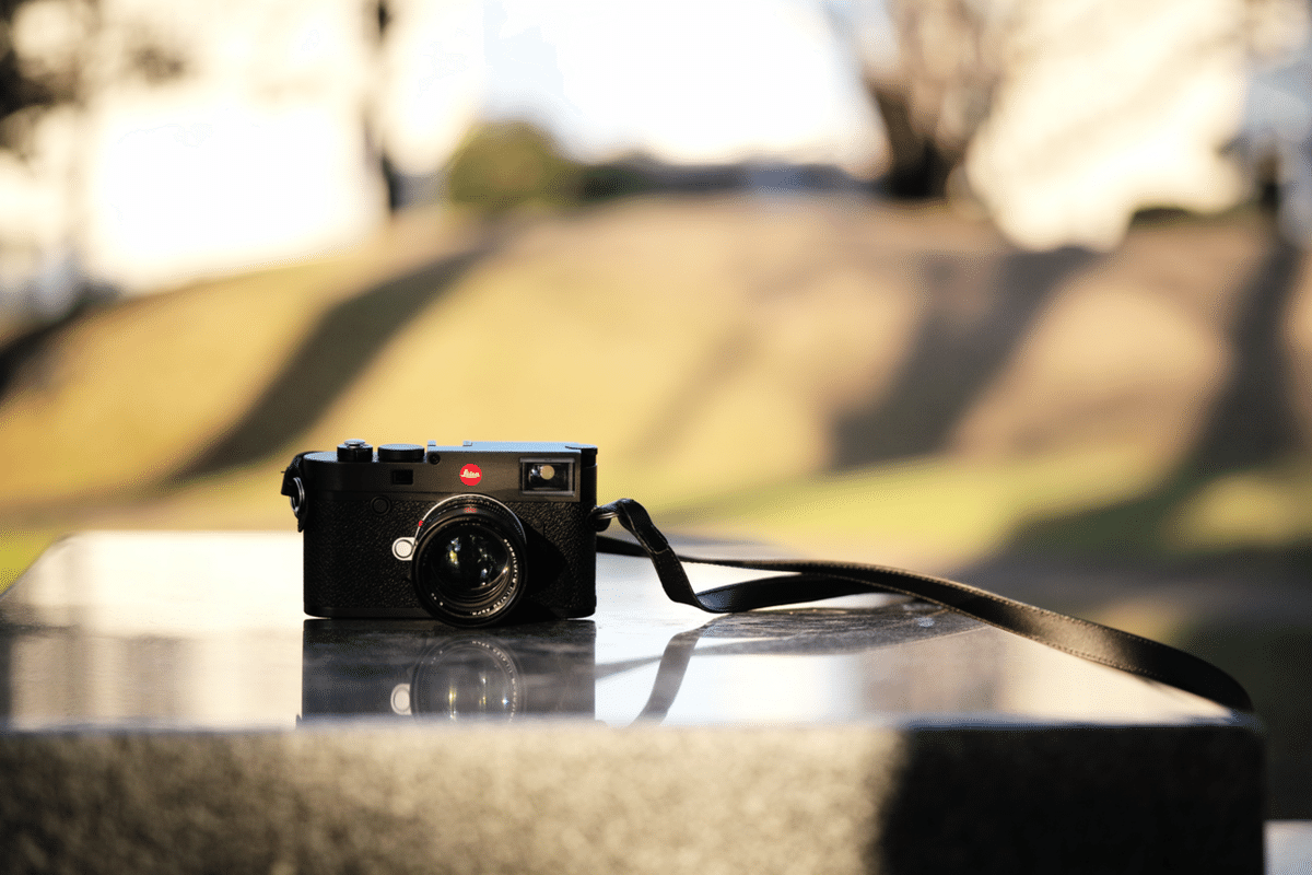 100枚超】これまで使ってきたカメラの羅列とその写真（2024.3月10日