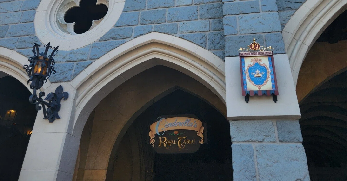 わくわく旅行日記】初めてのディズニーワールド🏰‪‪(マジック‬‬