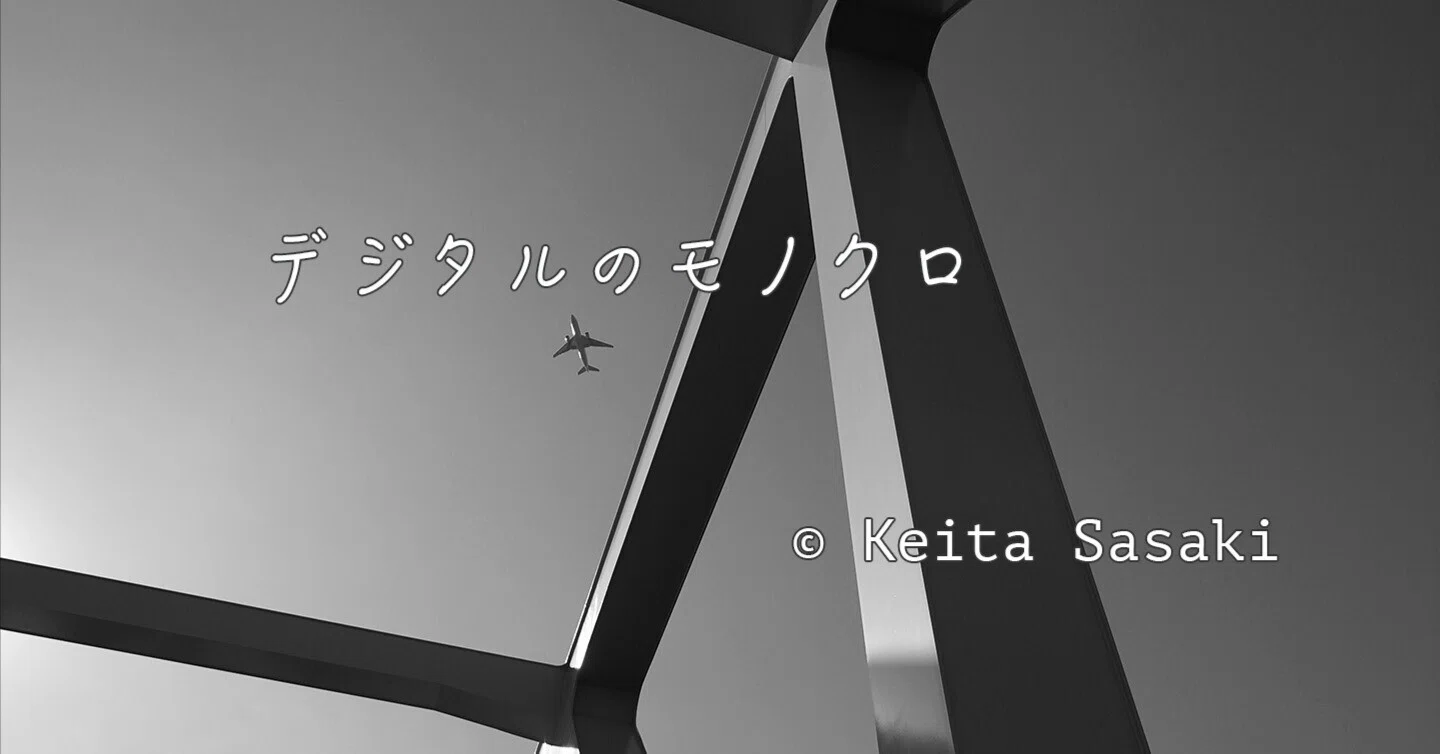 モノクローム様　確認用 デジタルのモノクロ｜佐々木啓太