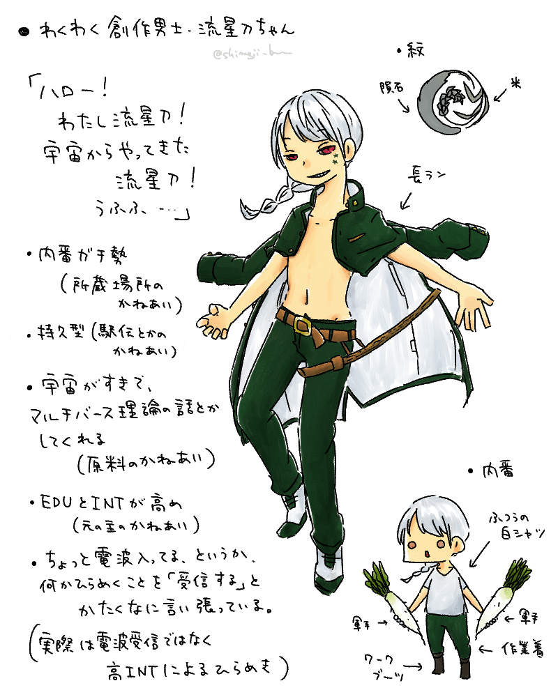 創作っ子 流星ちゃん の歴史 ぶな Note