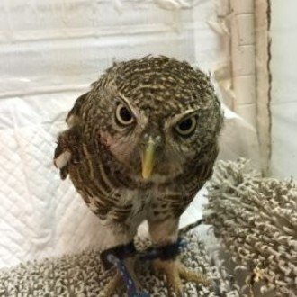 Liveの騒動 顛末 もうきんるい Note