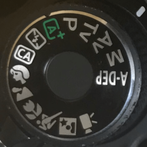 初めての一眼レフ！EOS Kiss X5レビュー｜Takahiro Sakuma