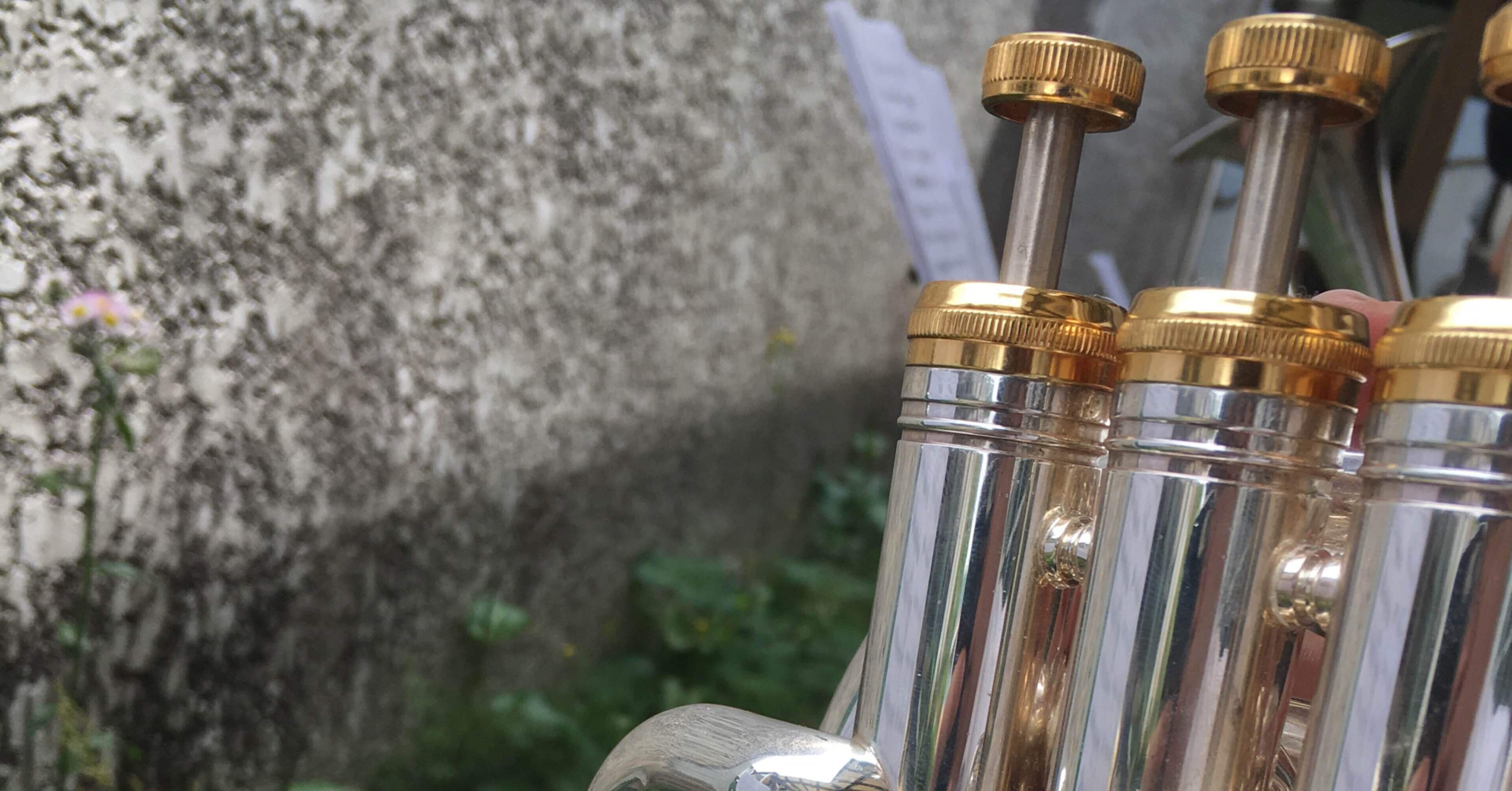 好きなバリトンホルン奏者をまとめてみました。｜石田モアイ🗿Brassband