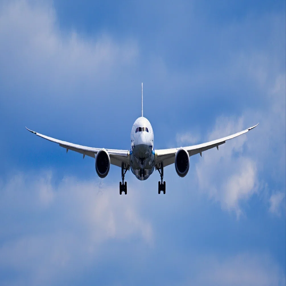 787の主翼のしなり｜ただのフォトグラファーでは終わらない | 航空写真