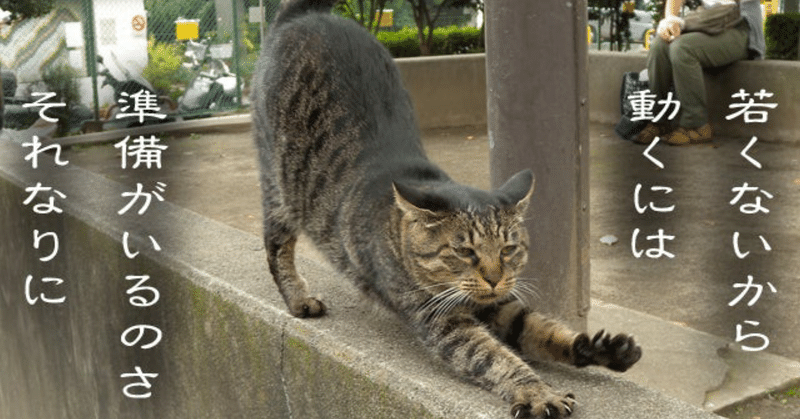 ラジオ体操第一という叡智