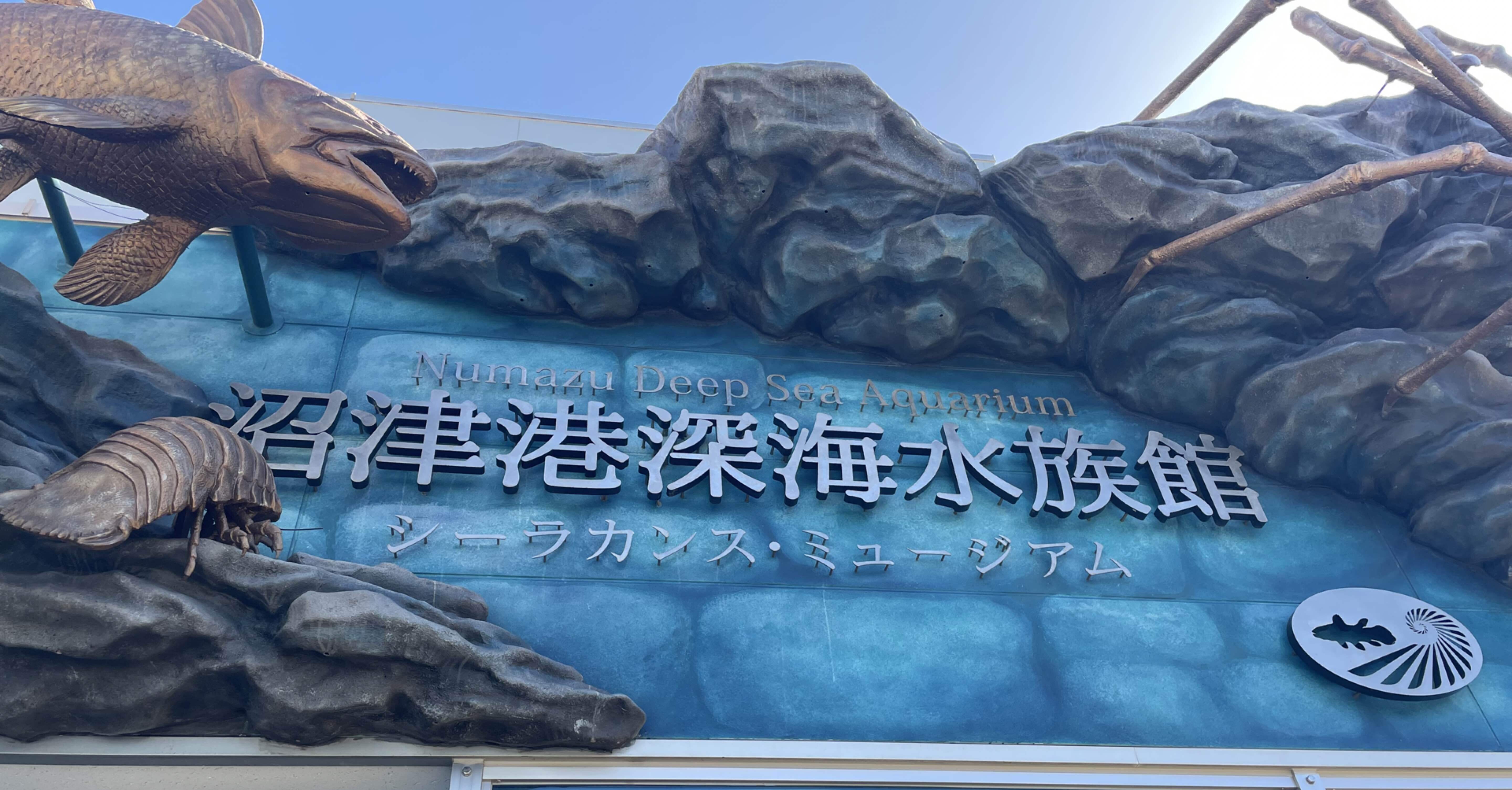 沼津港深海水族館】深海生物に特化した水族館｜稲垣湧斗