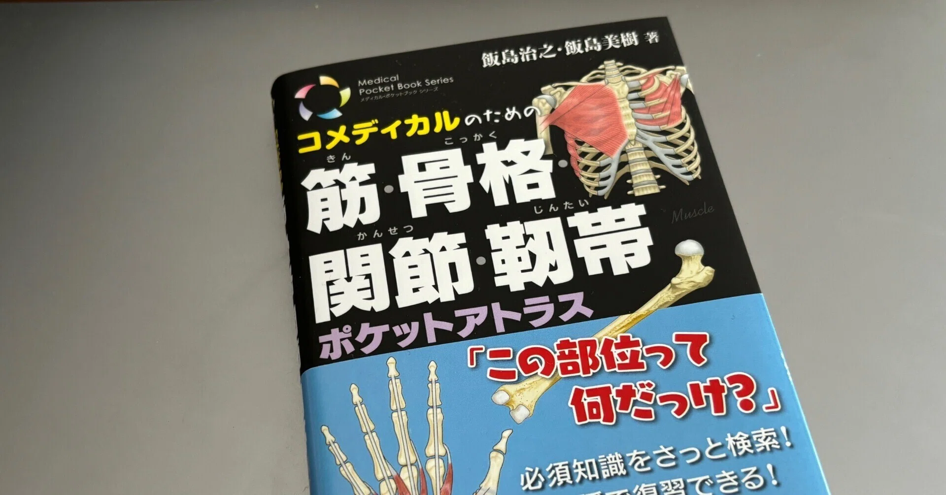 臨床応用のための画像解剖学 バトラー ミッチェル ヒアリー著 42c72cb2692c8656560c4f23b816fc