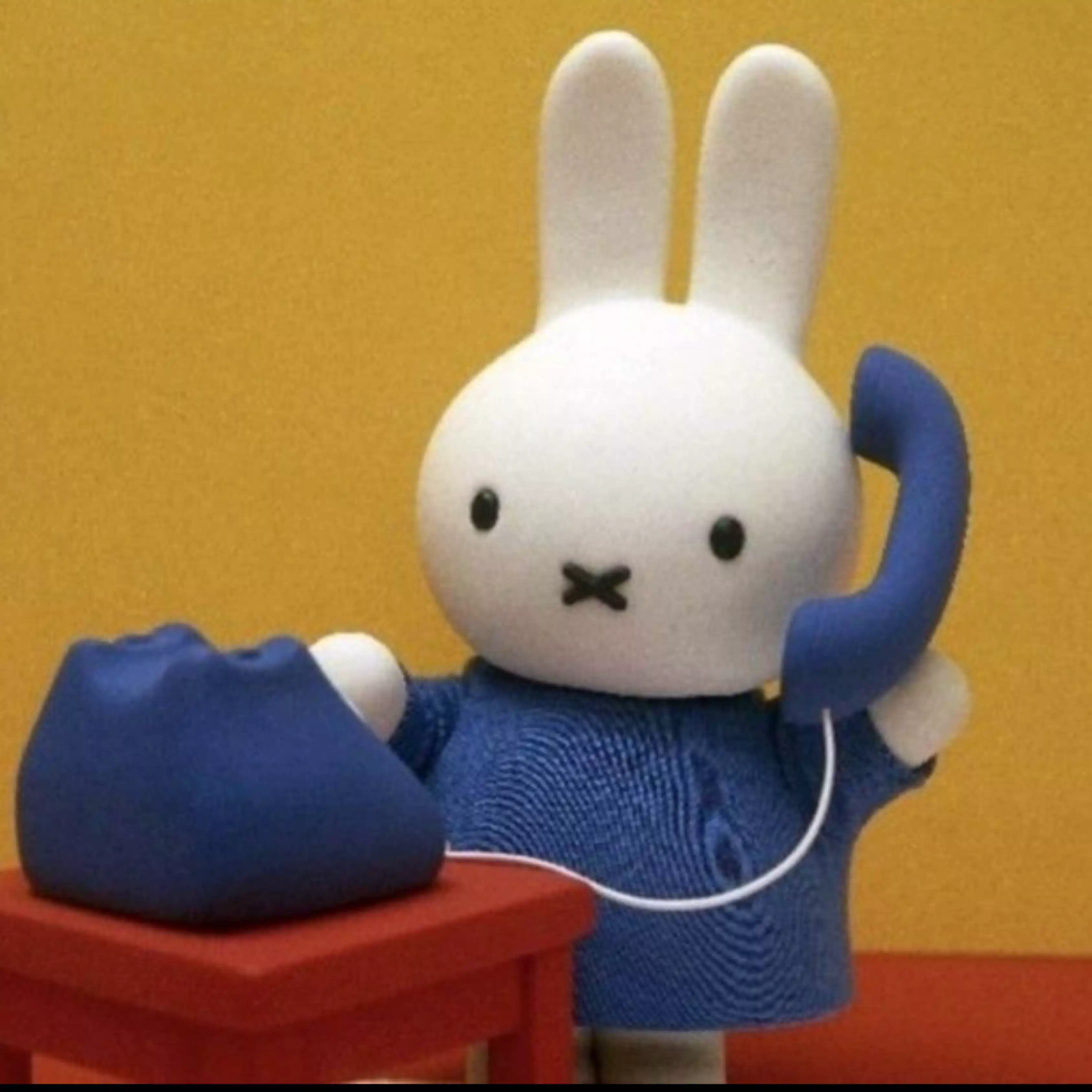 うさうさ(・×・)