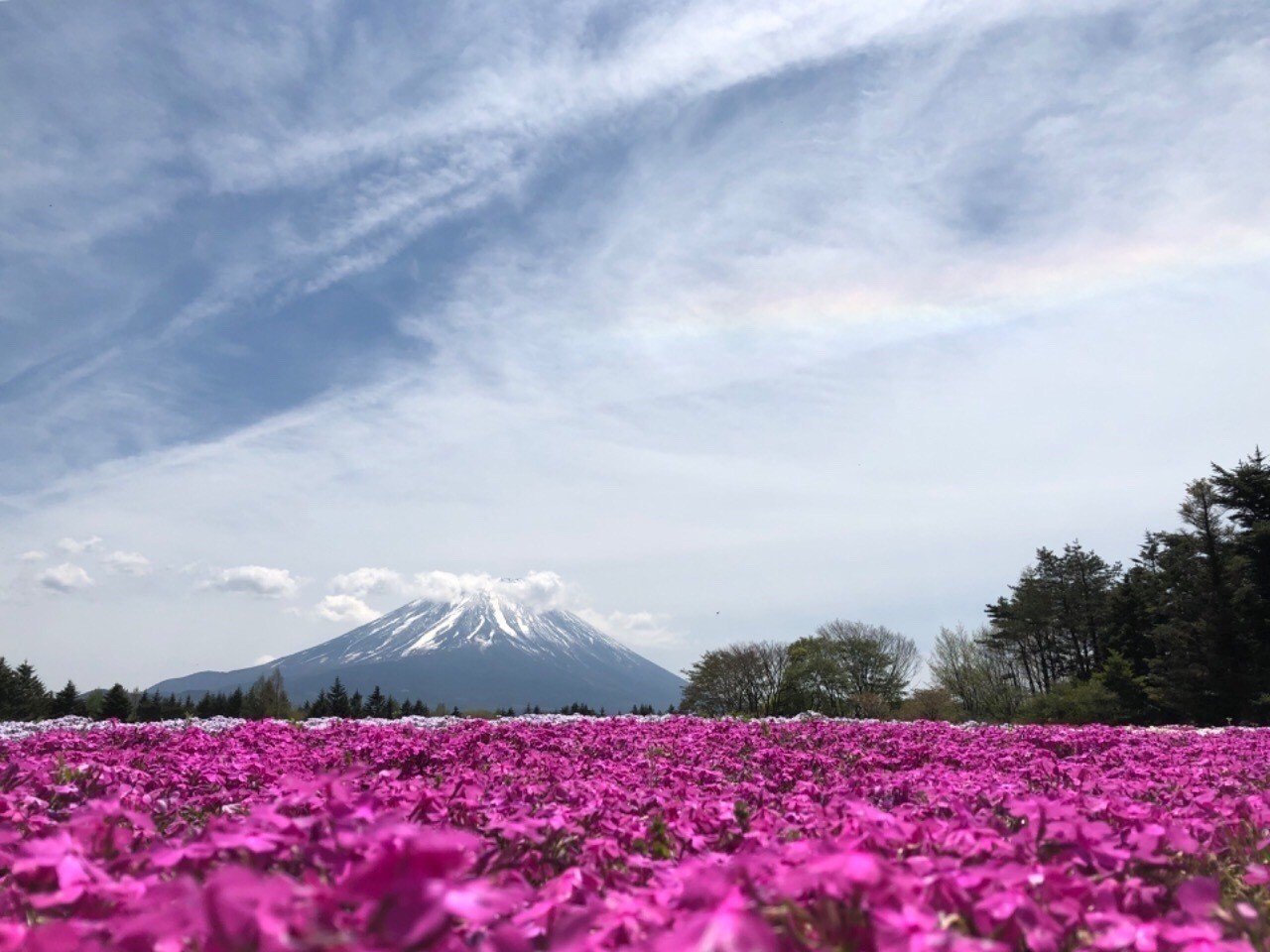 大好きな彼から別れを告げられて絶縁状態から9ヶ月で復縁 その復縁方法とは Mw Note
