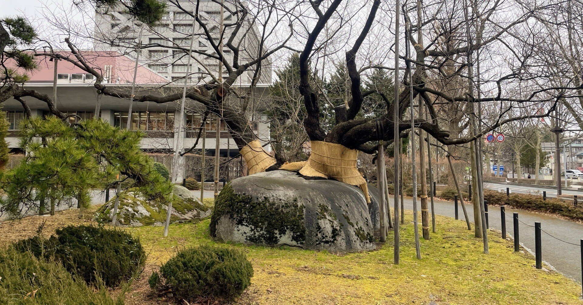 2923a1c747592f3b8f40d06a48a5f3