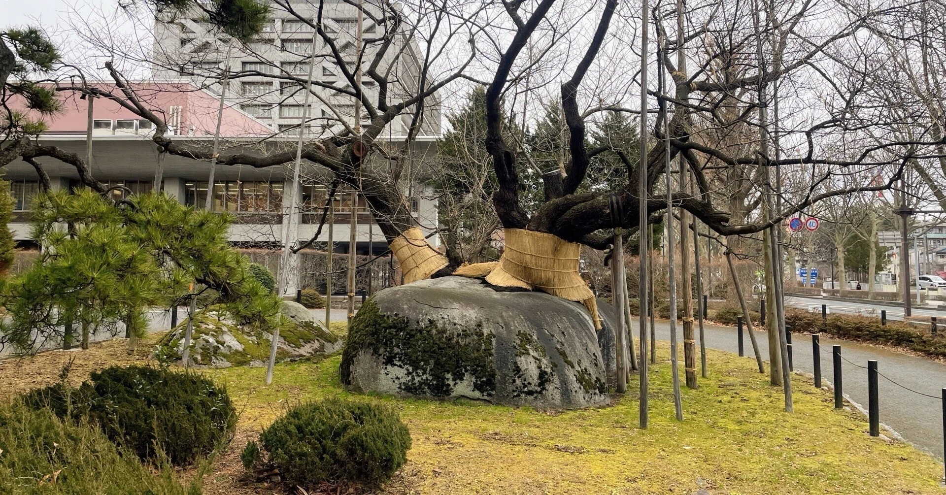 岩手・盛岡「巨石」さんぽ｜美術館とお寺と猫
