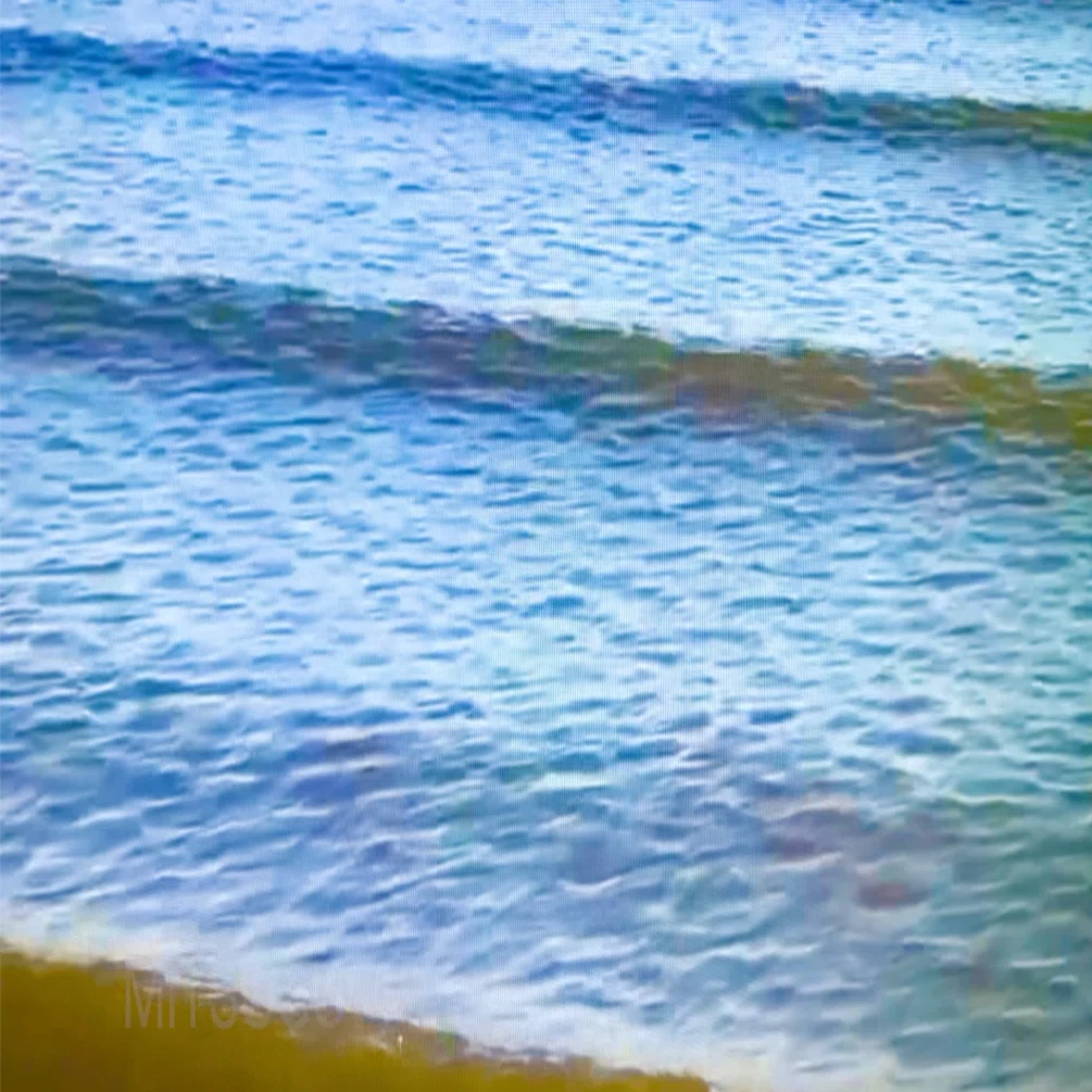 TOKYO EAST WAVES｜大西みつぐ / 写真家