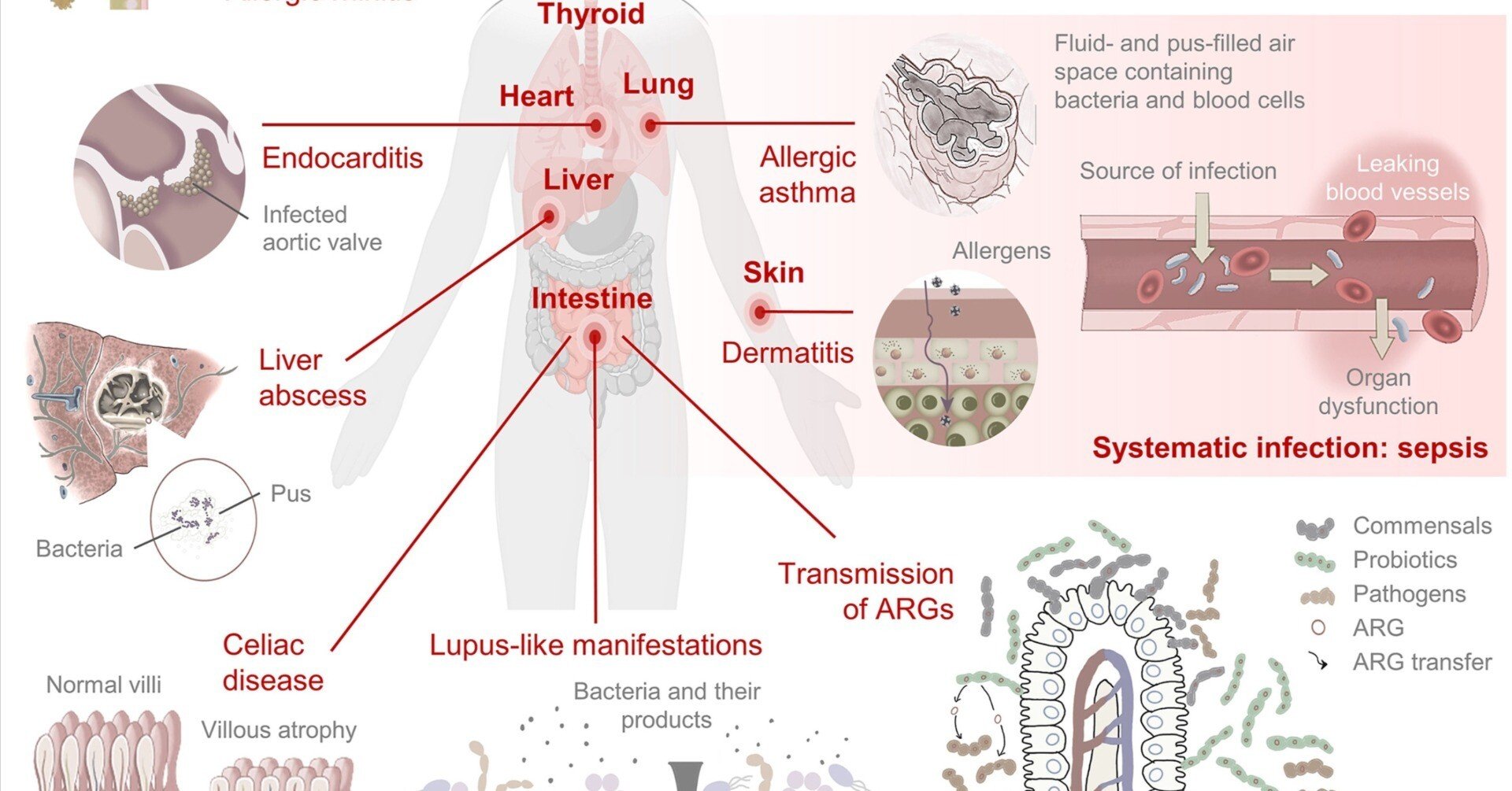 天然ルース他色まとめ 2591 【公式通販】