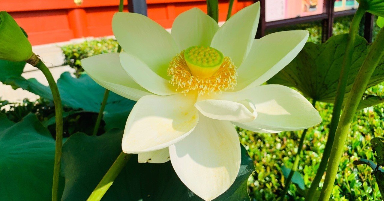 不幸そうなお金持ち の実態 Masumi Note