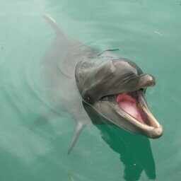 カメラを変えれば、気持ちも変わる。 今城純写真展 「HALF × HALF