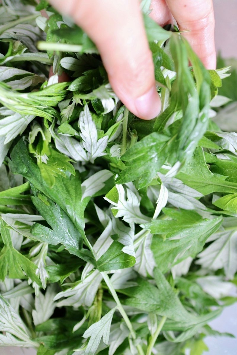 体の内側からきれいに よもぎ茶の販売スタートしました 山形 彩子 Matsurika Savon Note 体の内側からきれいに よもぎ茶の販売スタートしました 山形 彩子 Matsurika Savon Note