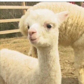 今週の株式市場展望