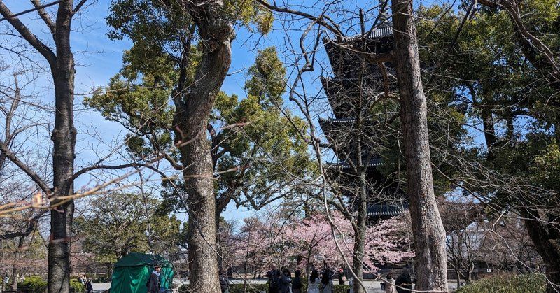 想像してごらん、満開の桜を　東寺【京都】