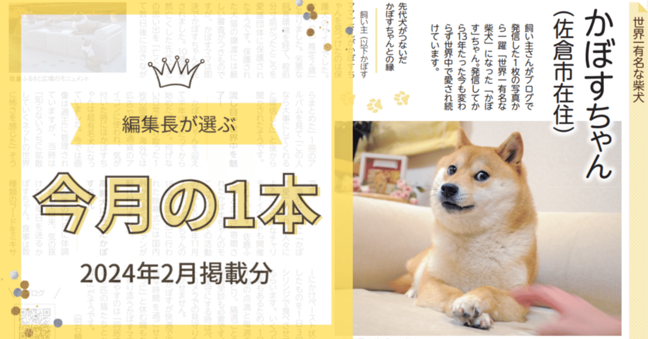 編集長が選ぶ今月の注目記事！地域新聞社【2024年2月】｜株式会社地域新聞社（東証グロース：2164）