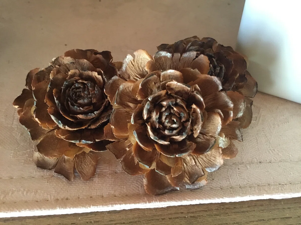 シダーローズ（Cedar Rose）松ぼっくり。 ヒマラヤ杉（Cedrus