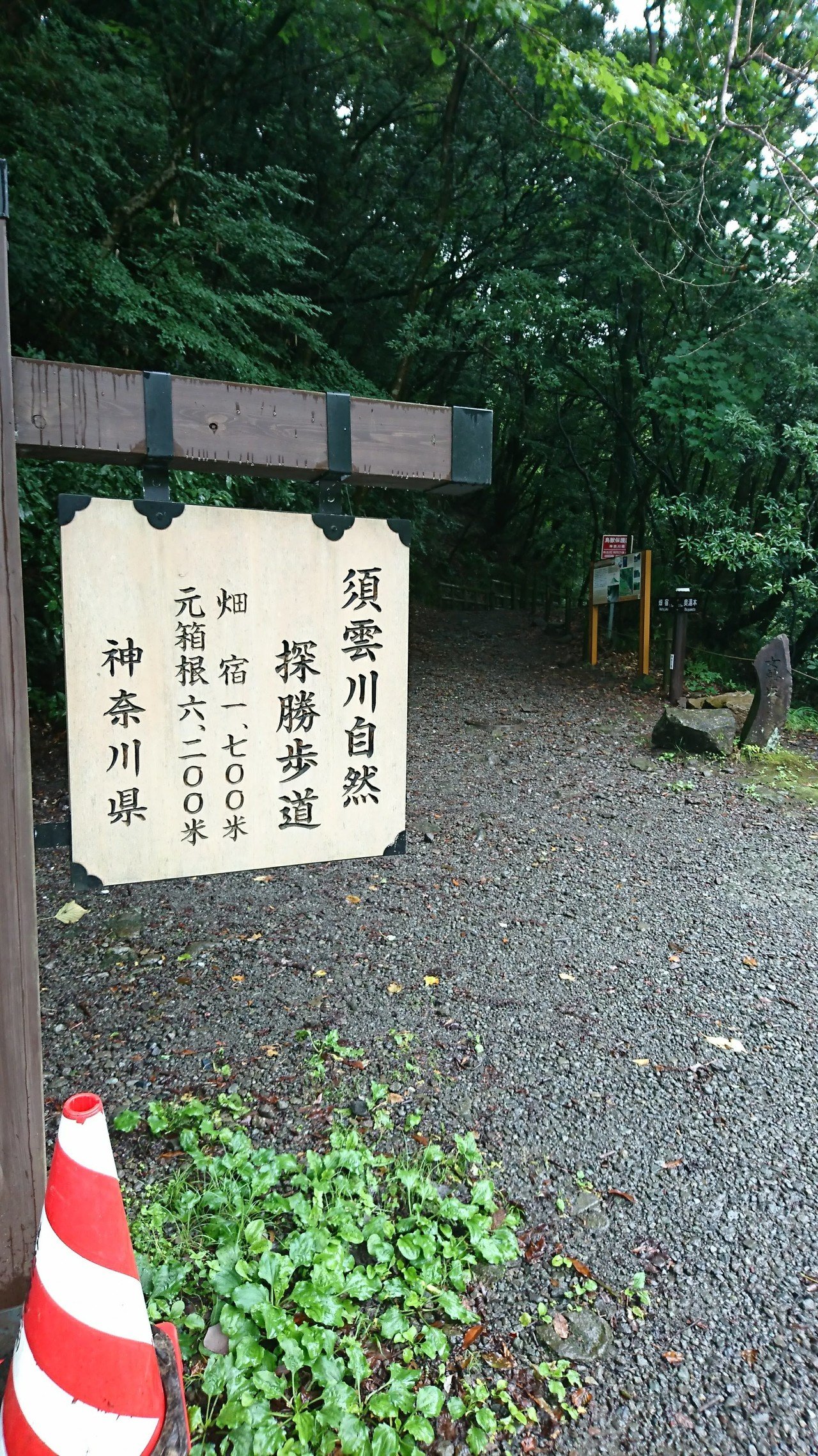箱根外輪山一周トレラン もどき 考える脚 Note