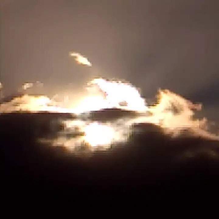 かや