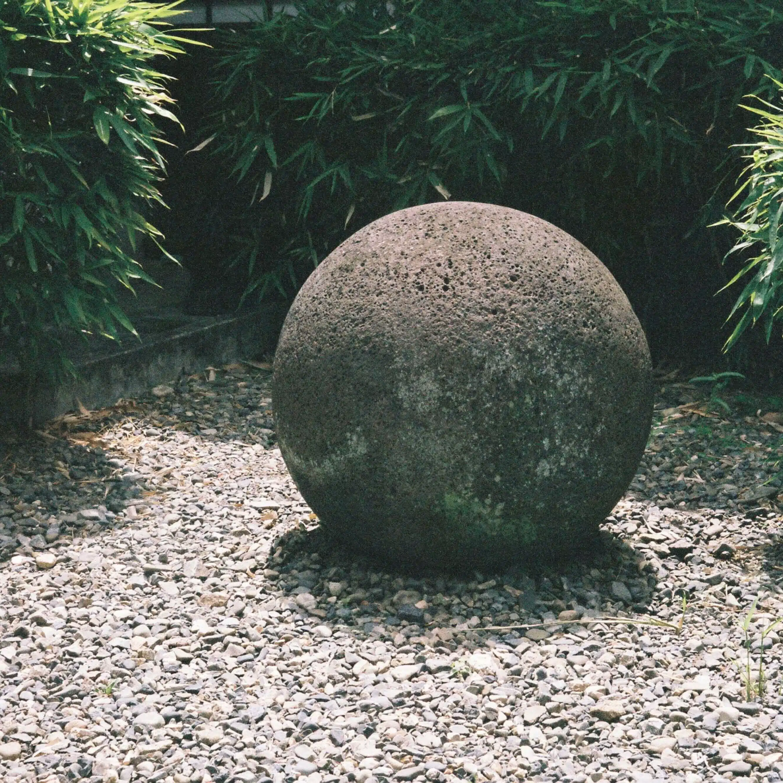 林 荘太 | Souta Hayashi