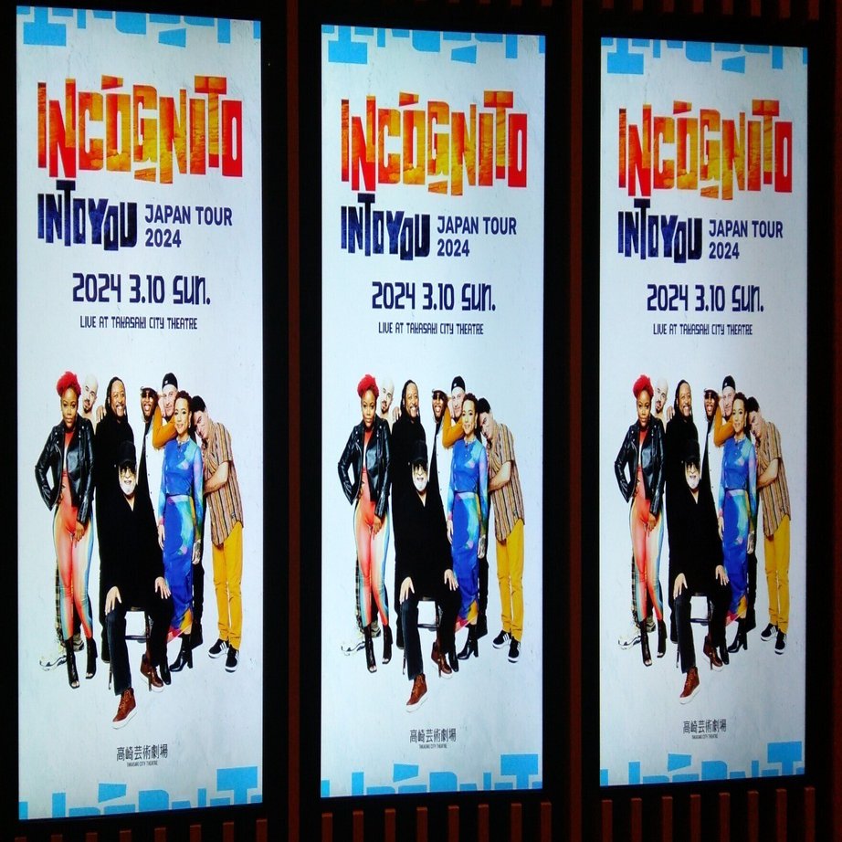 Incognito INTO YOU｜なつめ