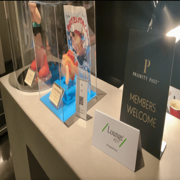 成田空港】食べ飲み放題でなんと！無料 ジブリファンは訪れたい隠れた