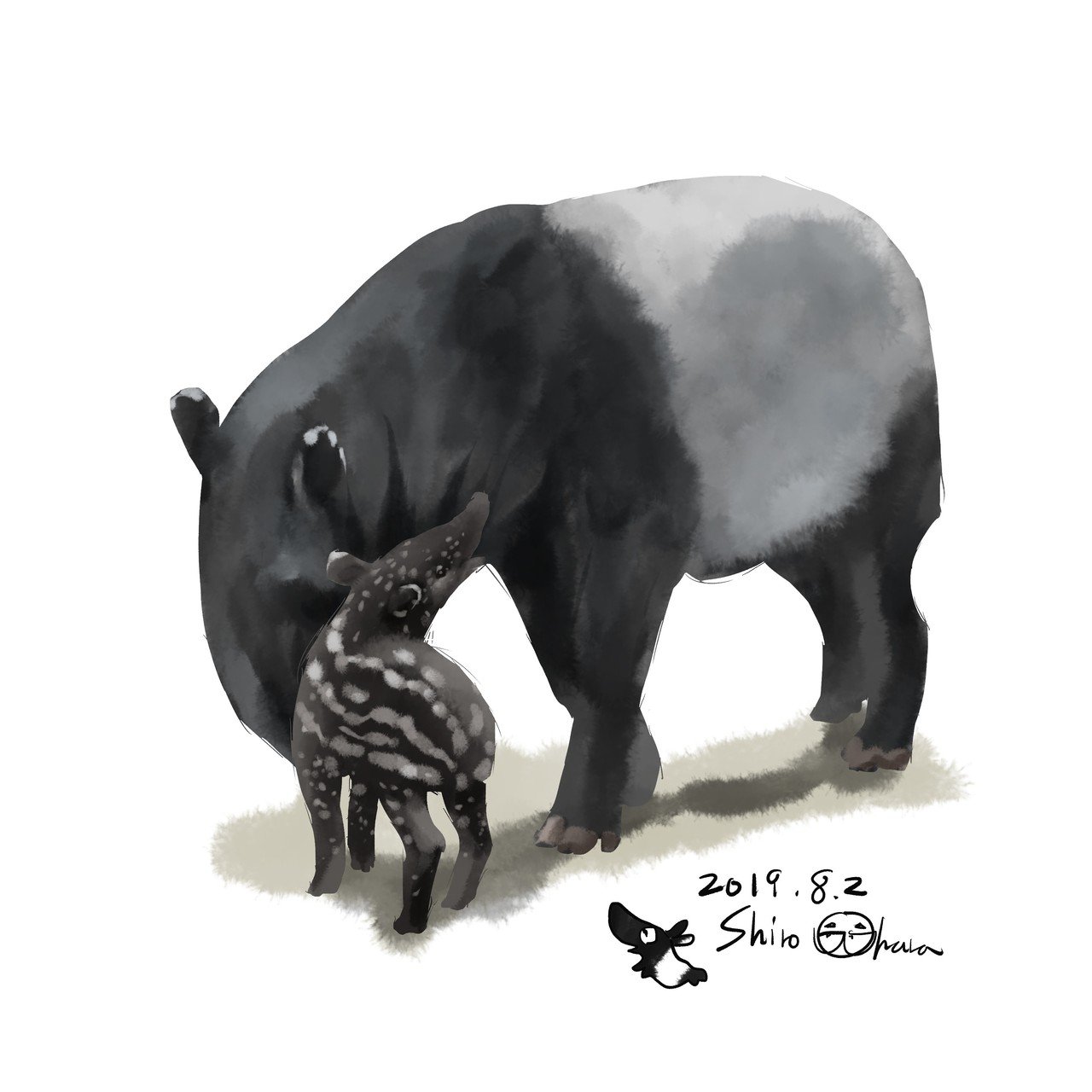 Animals 動物たちのイラスト 大原 司朗 Note