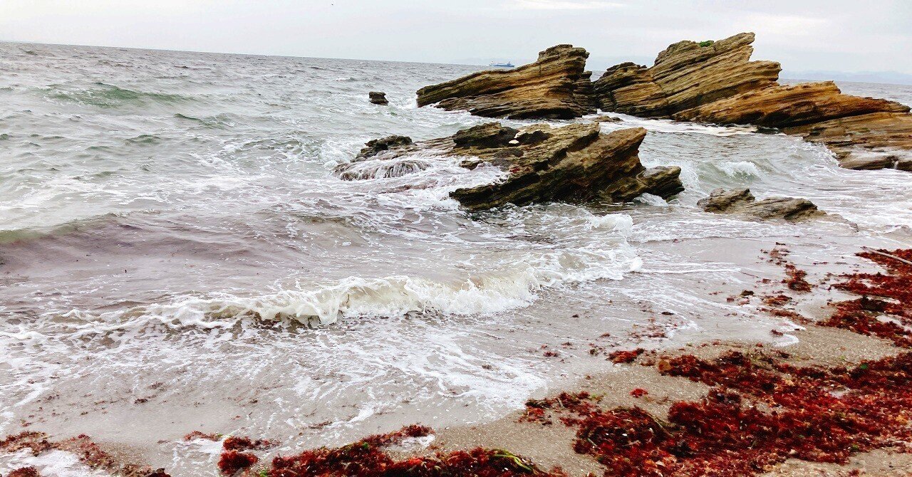 シーグラスと陶片と岩場の貝殻！横須賀・観音崎灯台下で
