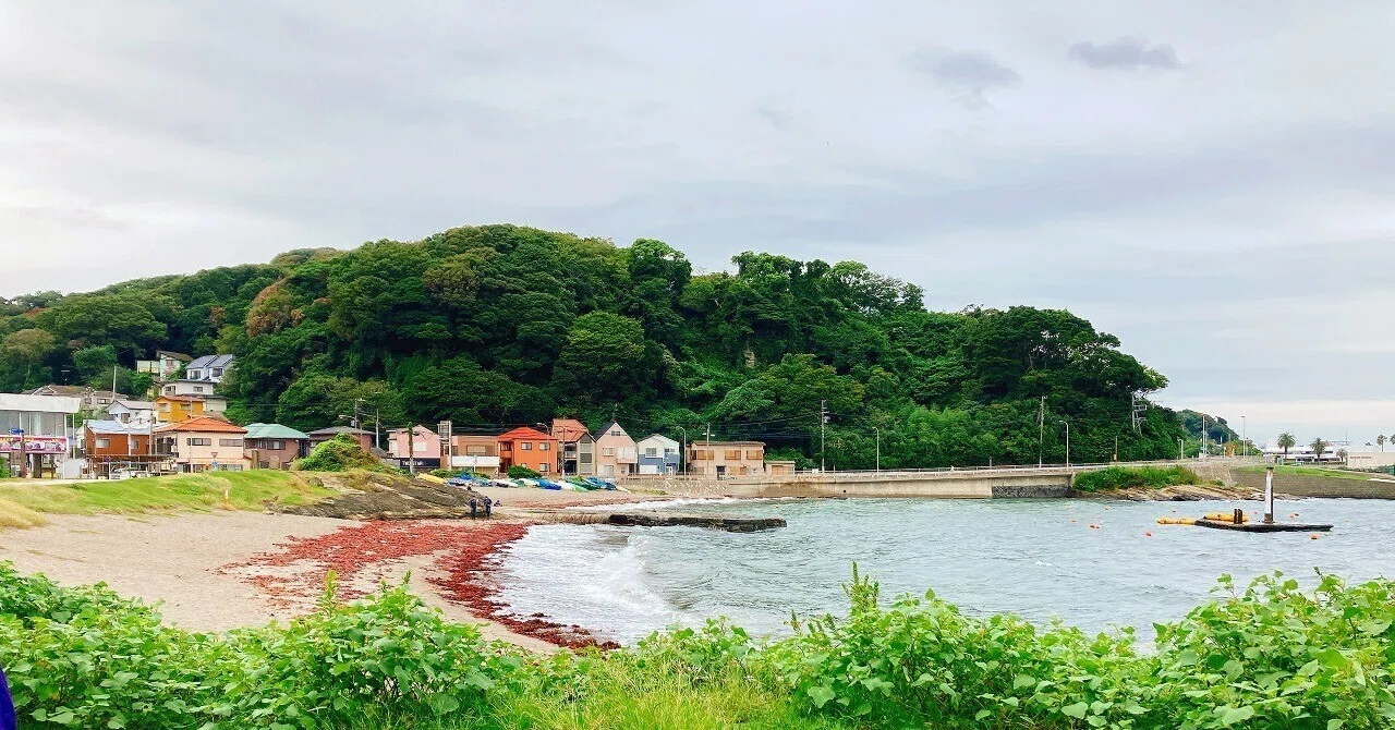 シーグラスと陶片と巨大アカニシ！横須賀・観音崎海水浴場で 