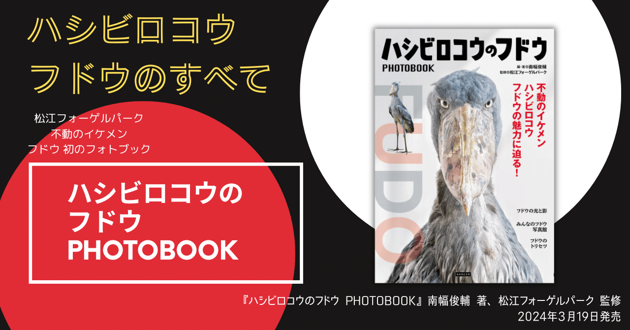 松江の“アイドルハシビロコウ”フドウの魅力に迫る『ハシビロコウの